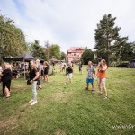 0229 crossover fest