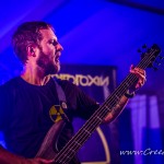 0377 Cytotoxin
