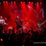 0078 Waltari