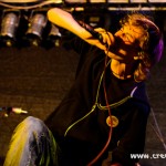 DSC 7849