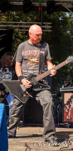 0036 Shaark