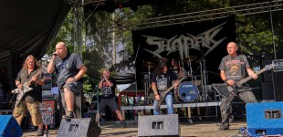 0039 Shaark