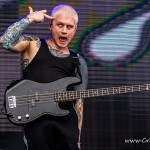 0023 NovaRock 2024