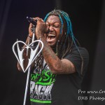 DSC 0713