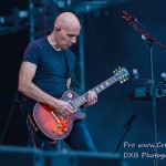 DSC 1913