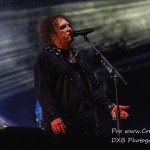 DSC 2617