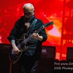 DSC 2849