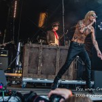 DSC 3919