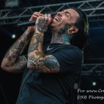 DSC 9290