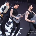 DSC 9401