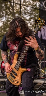0533 Tortharry