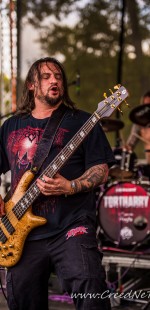 0546 Tortharry
