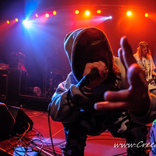 047 Desolated