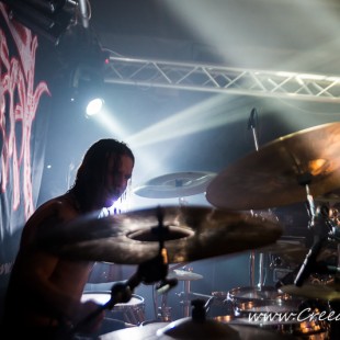 118 Tortharry